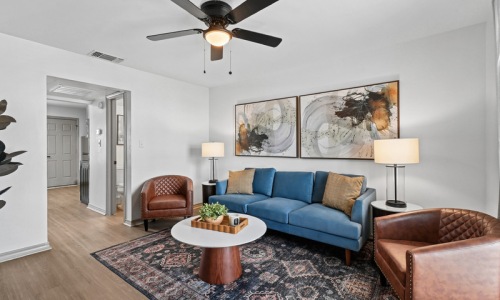 living room with natural lighting